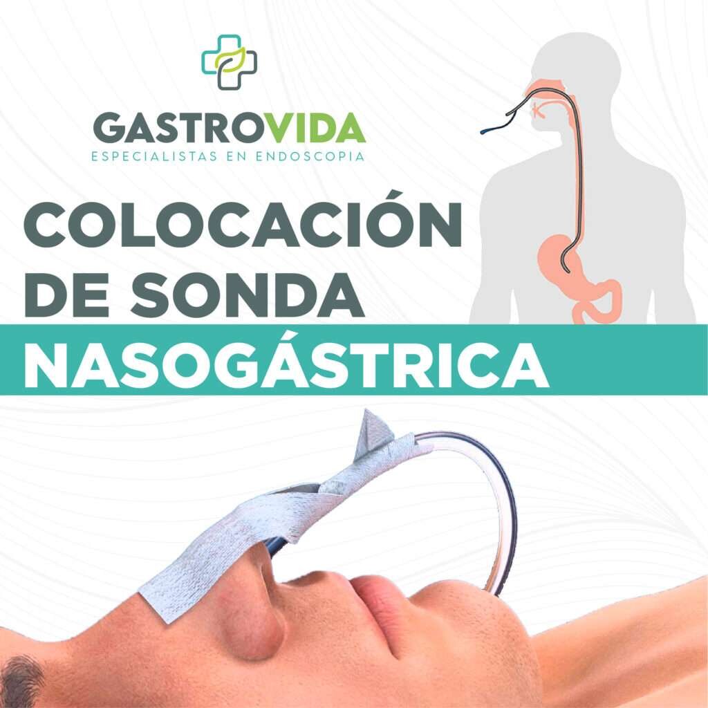 Cuidados Necesarios Después de la Colocación de la Corona
