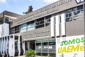 DELKA Hospital Veterinario