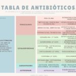Guía sobre antibióticos para infecciones dentales y tratamientos odontológicos complementarios
