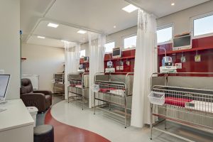 HOSPITAL VETERINARIO NOVELO