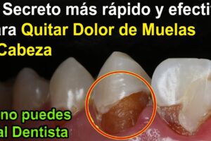 Medicinas naturales para aliviar dolor de encías y tratamientos dentales alternativos efectivos