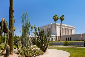 Seguro Popular Villa de Cactus